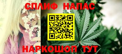 дживик Моздок