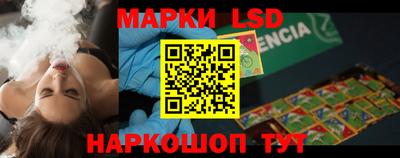 гидропоника Можга