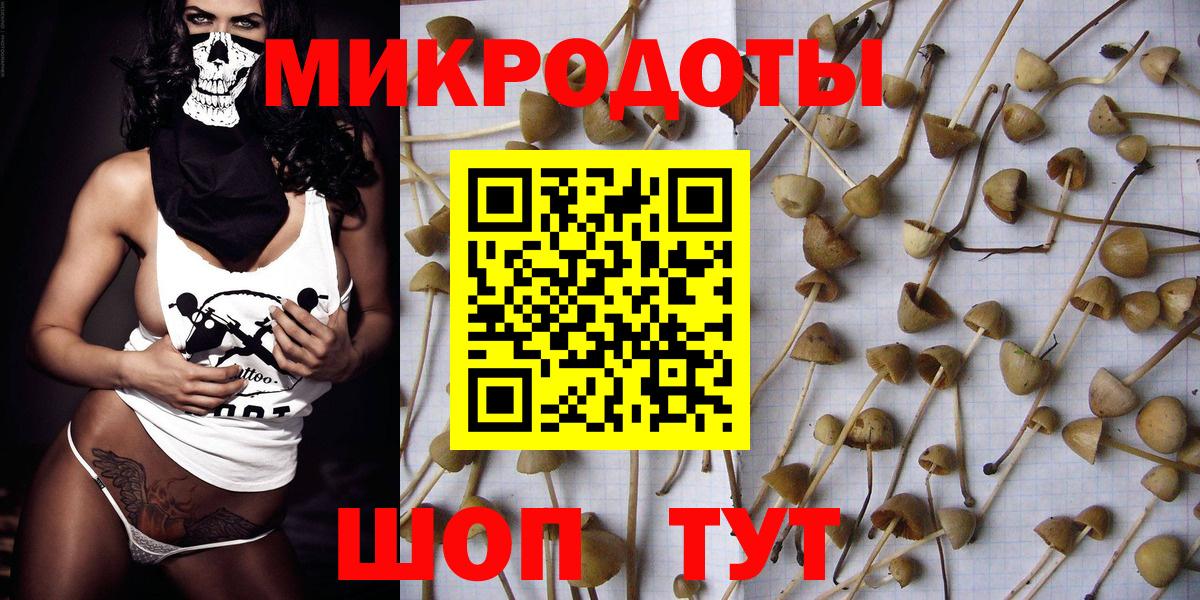 Псилоцибиновые грибы GOLDEN TEACHER Тосно