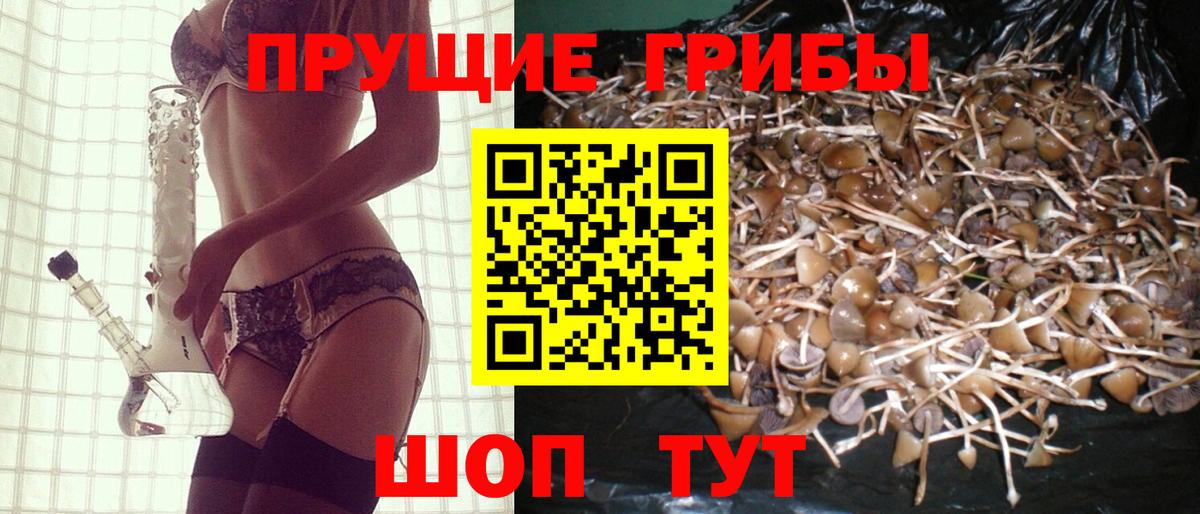Псилоцибиновые грибы мицелий  Галлюциногенные грибы Psilocybe  Вход с VPN  хочу наркоту  Тосно 